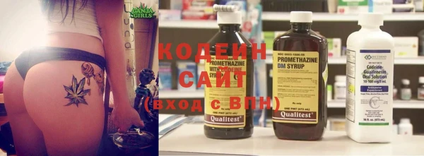 спиды Богданович