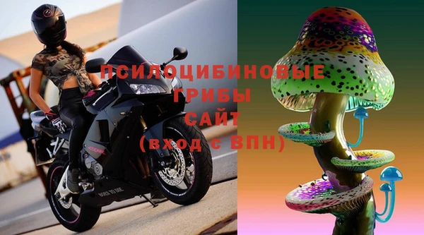 спайс Беломорск