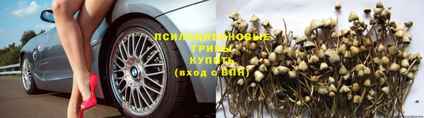мяу мяу мука Богородицк