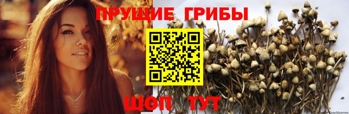 Городец  Галлюциногенные грибы прущие грибы  Псилоцибиновые грибы GOLDEN TEACHER  Вход с VPN 